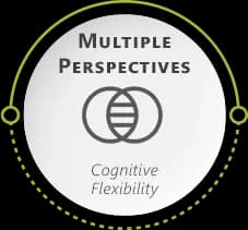 Multiple perspectives
