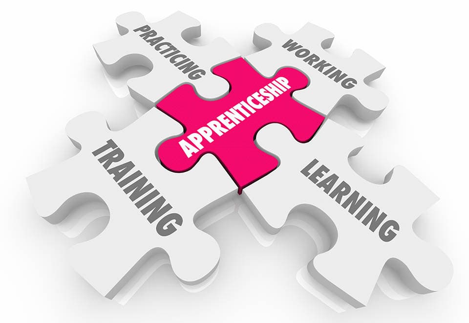 Apprenticeship links practicing, learning, training, and working