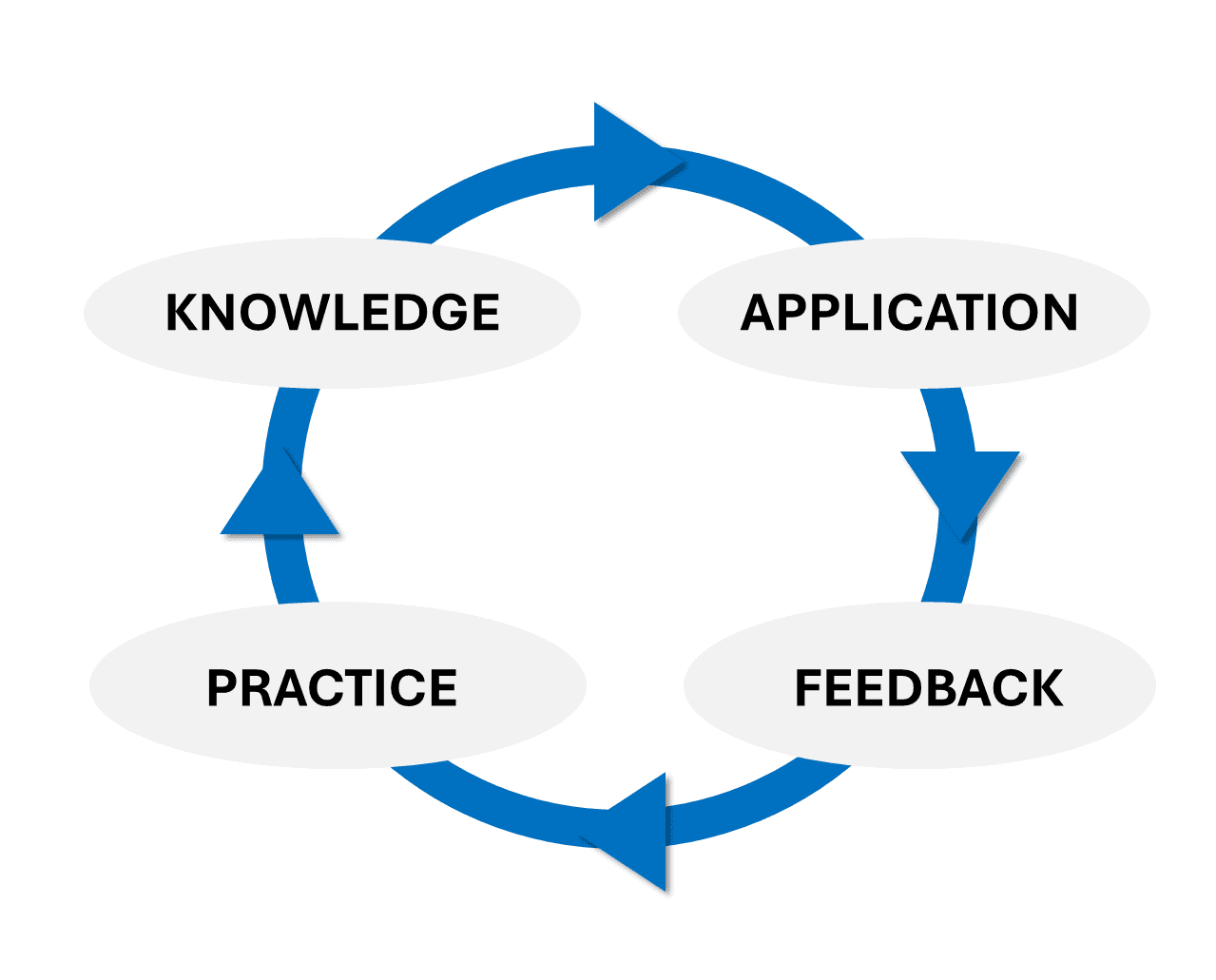 The complete learning loop: introduce knowledge, apply it, get expert feedback, practice across situations