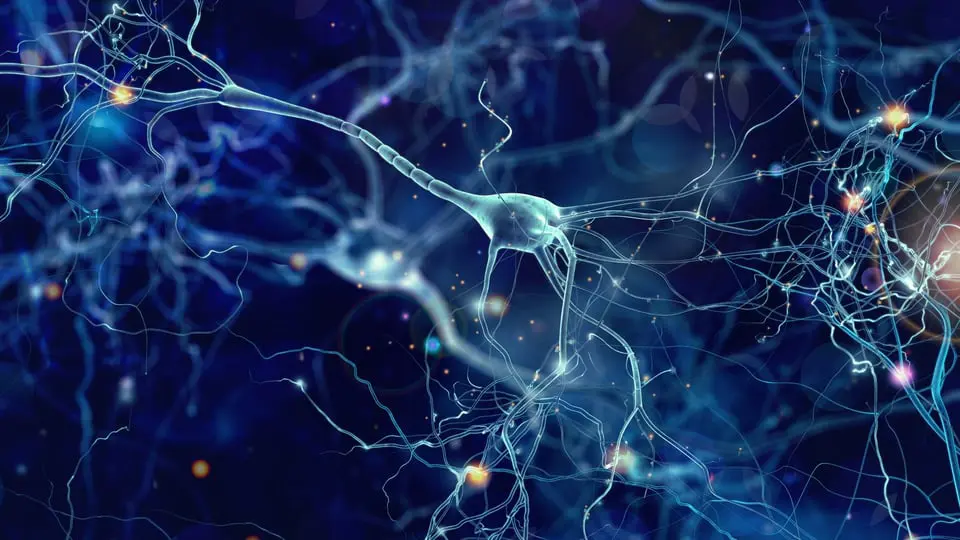 The neuroscience behind learn-by-doing