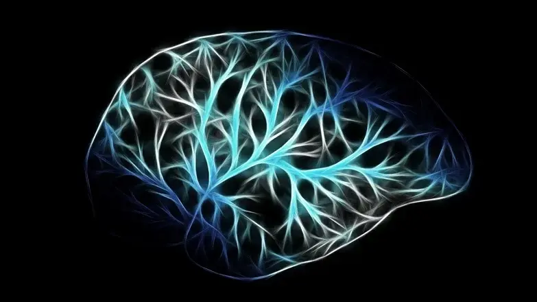 Transforming training with mental models