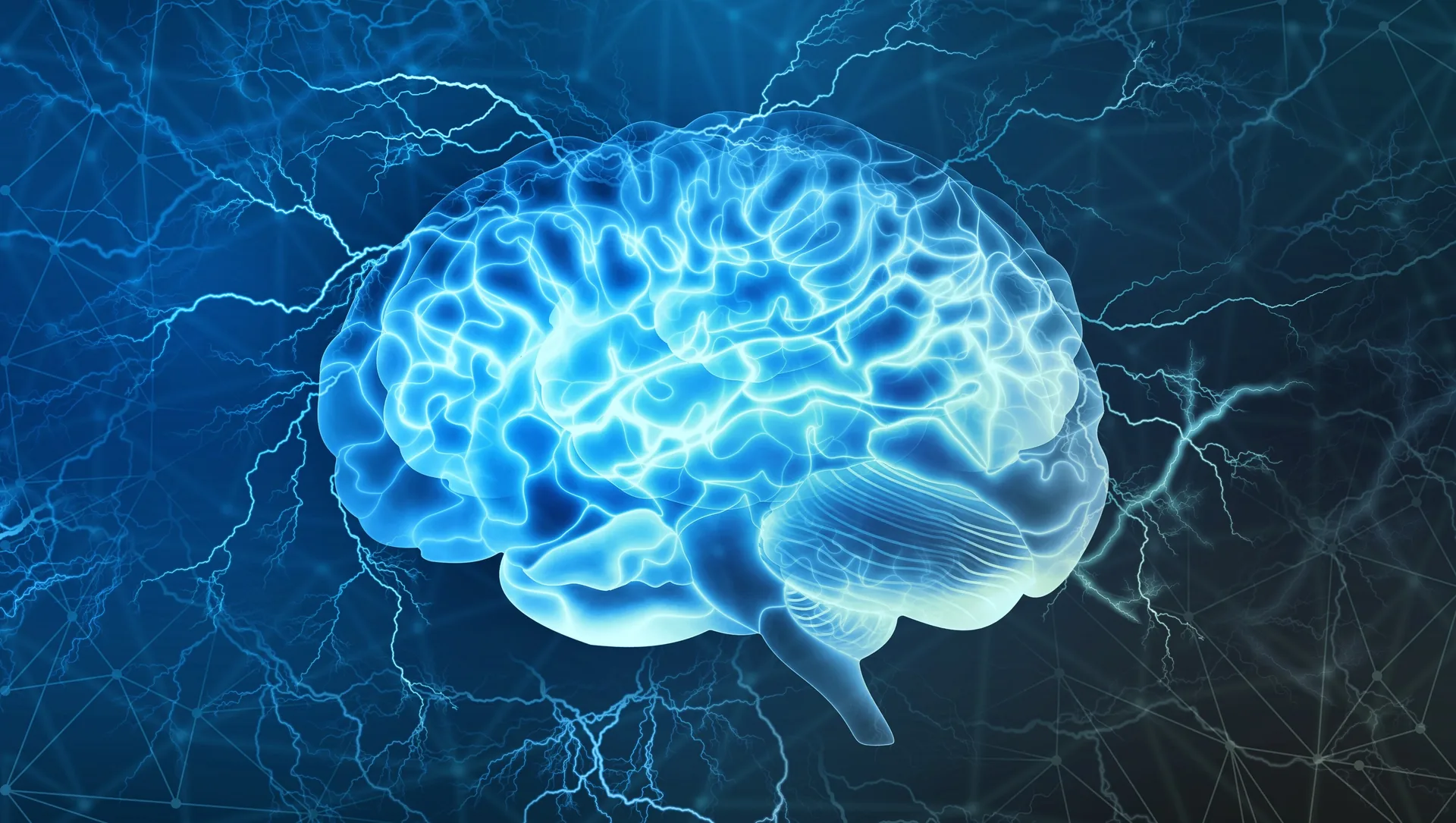 Mental Models: The Secret to Effective Education and Training Outcomes