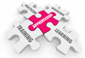 Apprenticeship puzzle piece linked to practicing, learning, training, and working